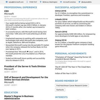 Great CV example...