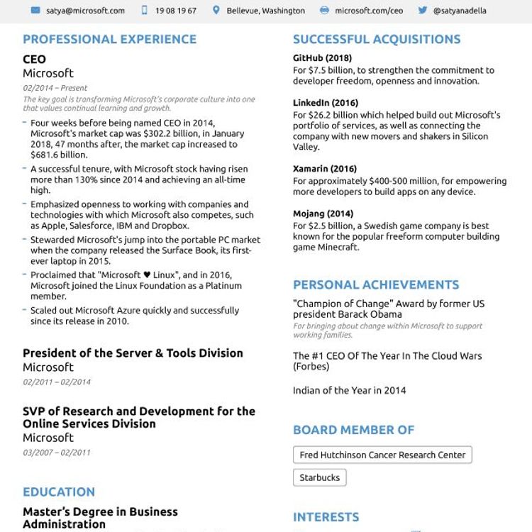 Great CV example...