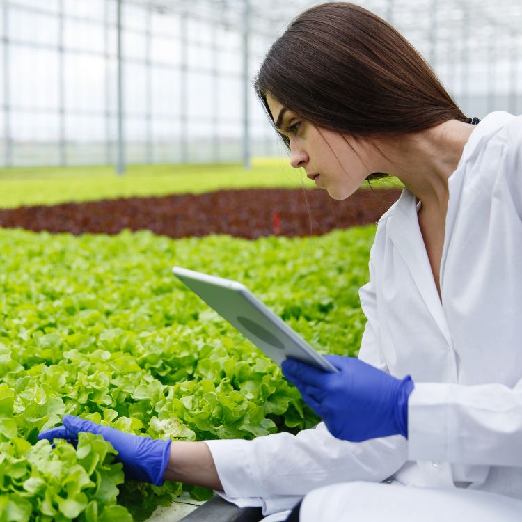 Life Science Recruitment Why ESGs Are Important PeopleScout